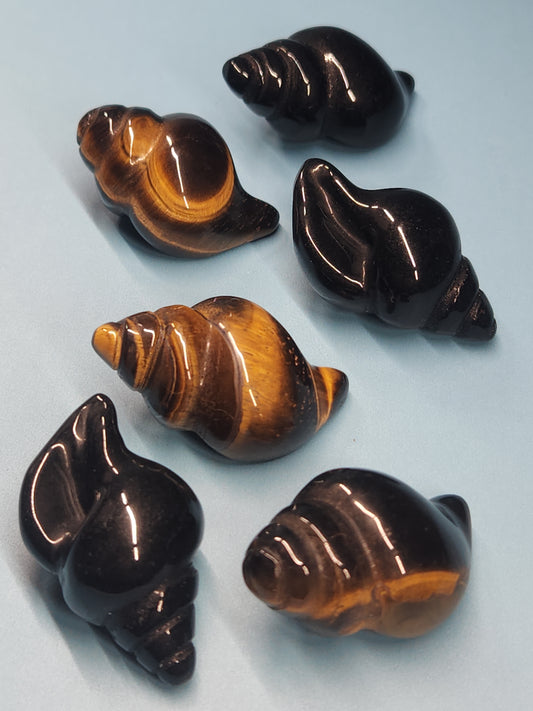 Seashell Carving