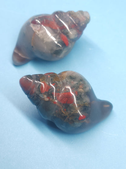 Seashell Carving