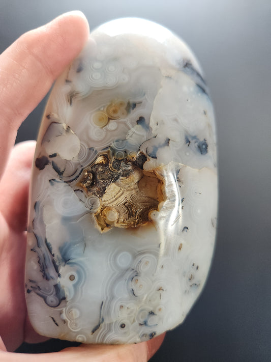 Dendritic Agate Freeform 433g