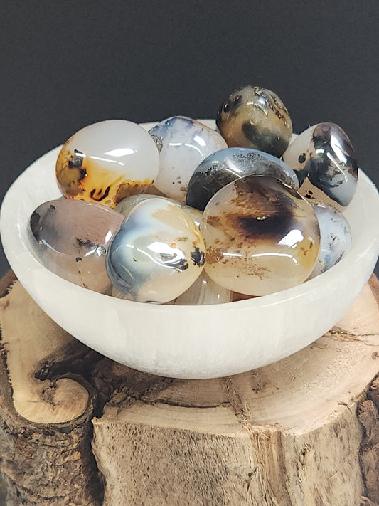 Dendritic Agate Tumbles DAT-INT