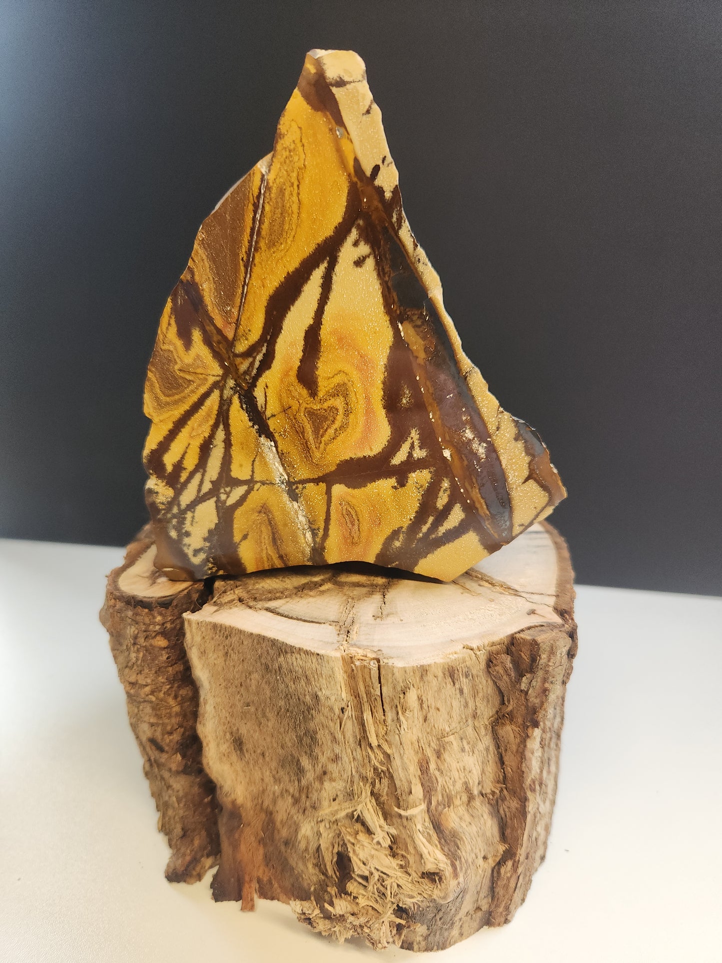 Nguni Jasper Face-Polished Freeform 414g