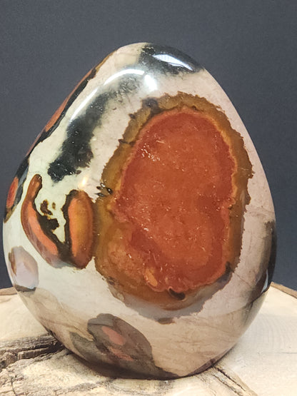 Polychrome Freeform PJF-005S-420-4
