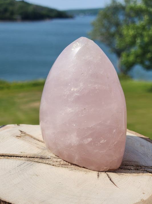 Rose Quartz Freeform 253g