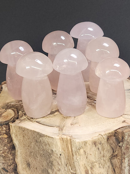 Rose Quartz Mushrooms, A-AA Grade, RQM-INT
