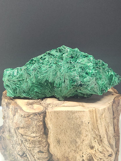 Silky Malachite Rough SMR-017S-377-5
