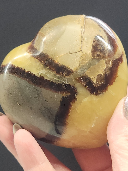 Septarian Heart SPTH-005S-318-3