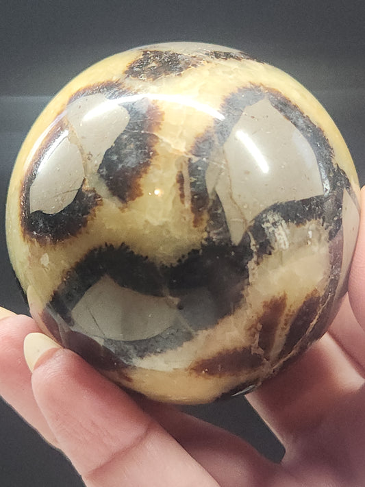 Septarian Sphere SPTS-001S-352-8
