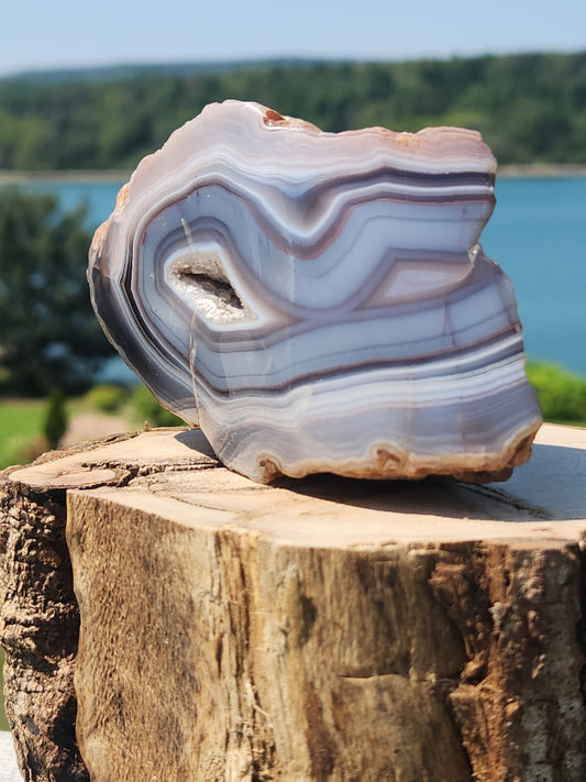 Shashe River Agate Polished One Side 520g