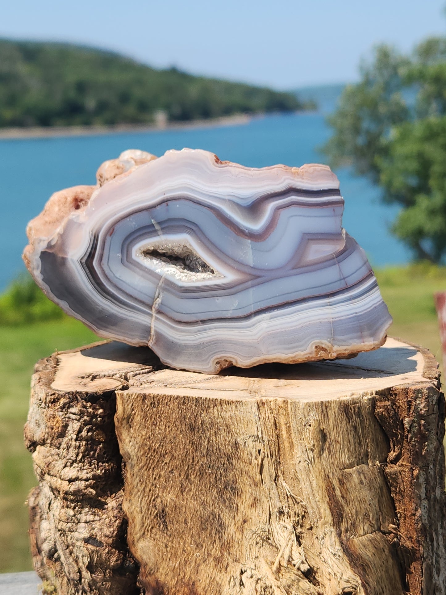 Shashe River Agate Polished One Side 520g