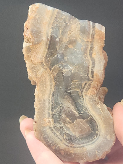 Shashe River Agate Polished One Side 520g