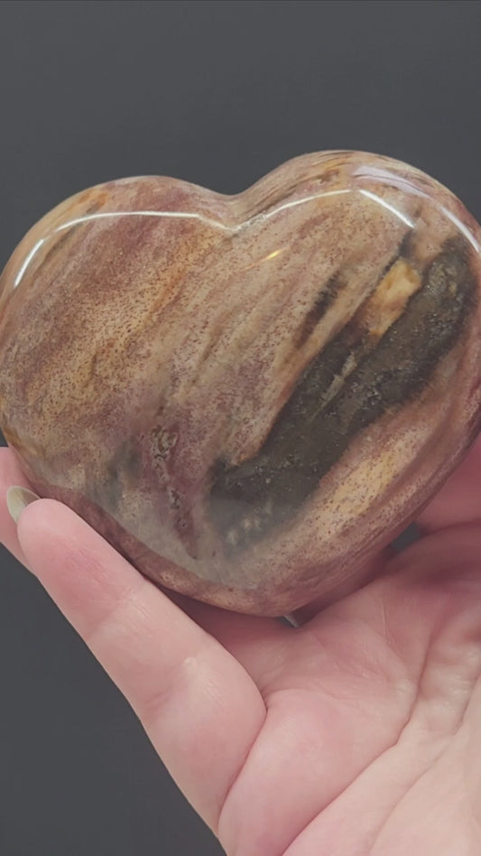 Petrified Wood Heart PWH-003S4-338