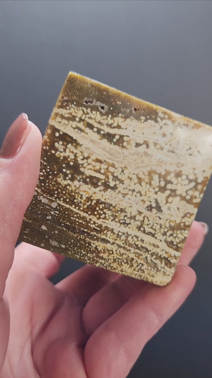 Ocean Jasper Cube 491g