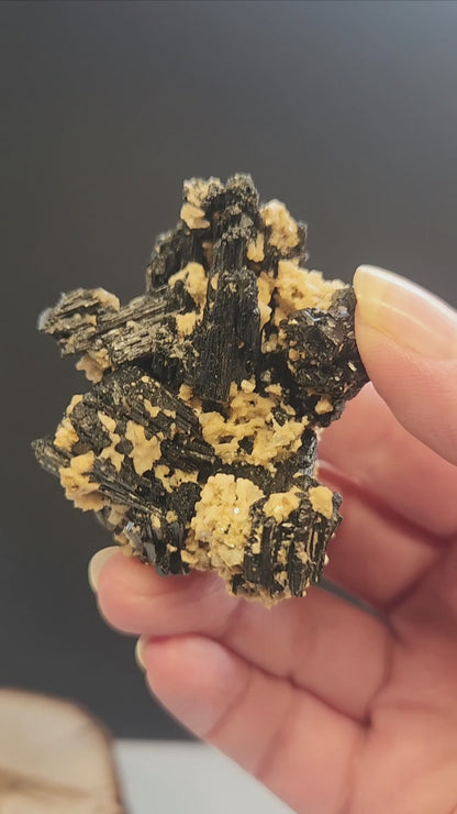 Black Tourmaline Cluster 64g BTR5