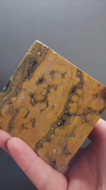 Ocean Jasper Cube 733g