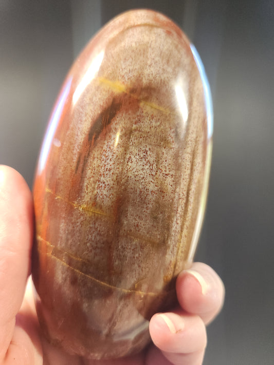 Petrified Wood Freeform 427g