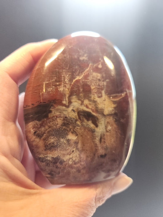 Petrified Wood Freeform 410g