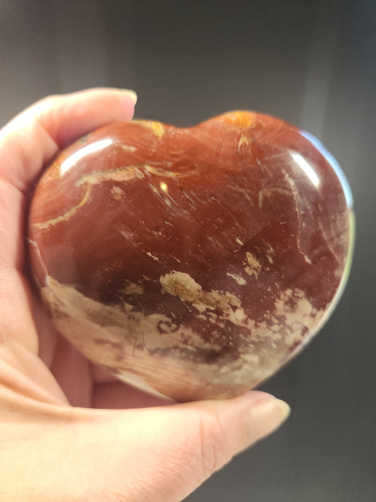Petrified Wood Heart 520g